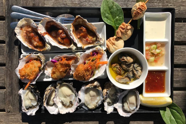 get shocked oyster1